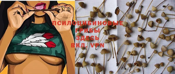 каннабис Алексеевка