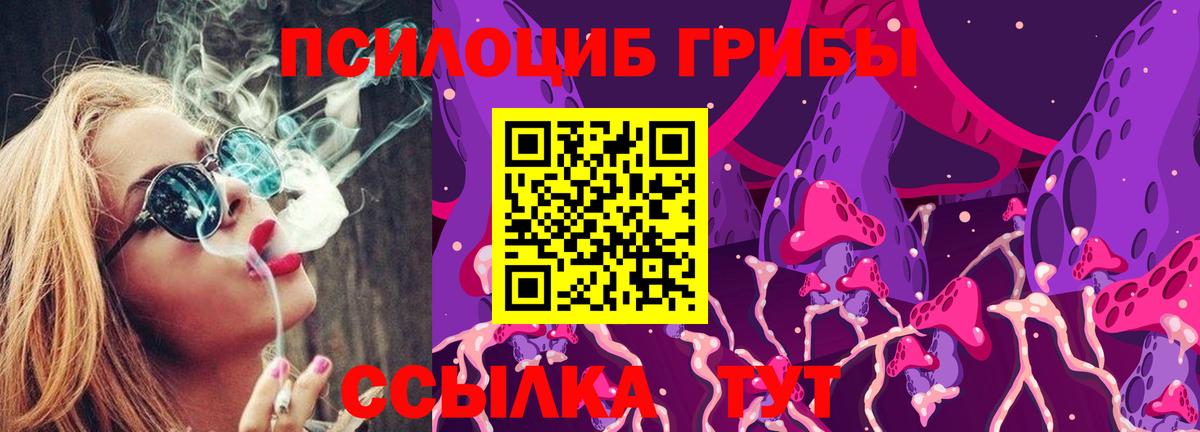 Псилоцибиновые грибы мицелий Похвистнево