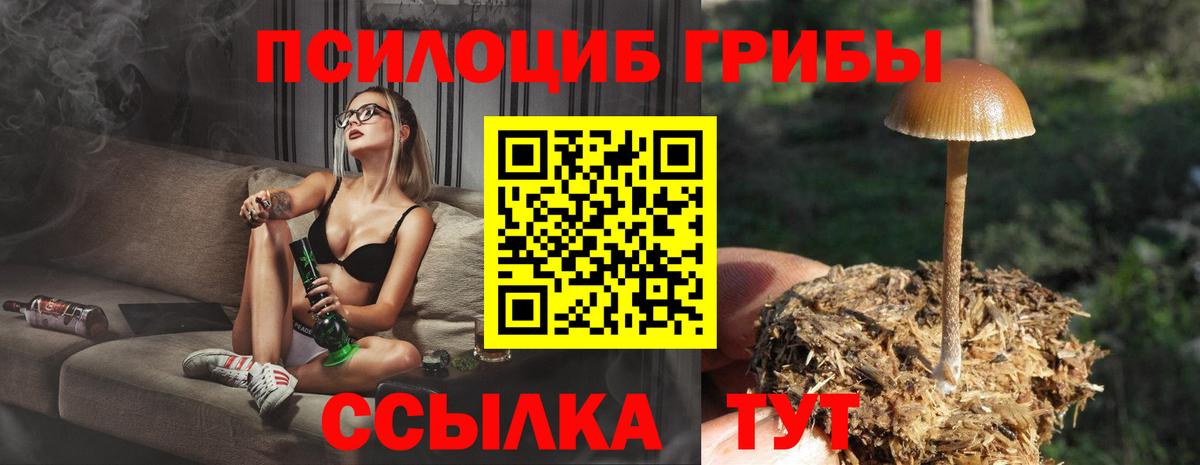 Похвистнево  Галлюциногенные грибы прущие грибы  продажа наркотиков  Вход с VPN 